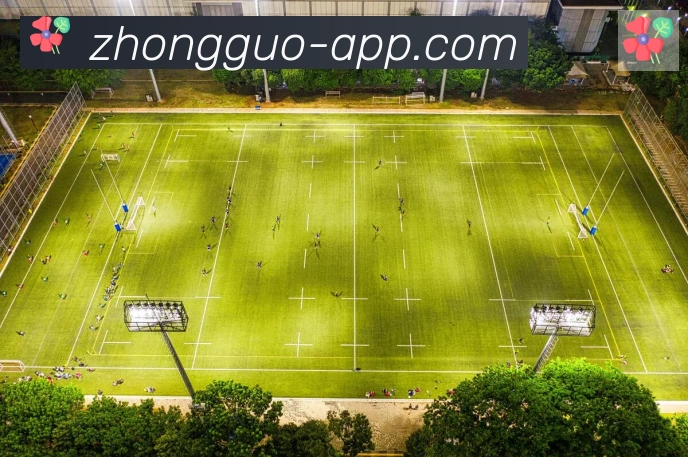 App 示例图
